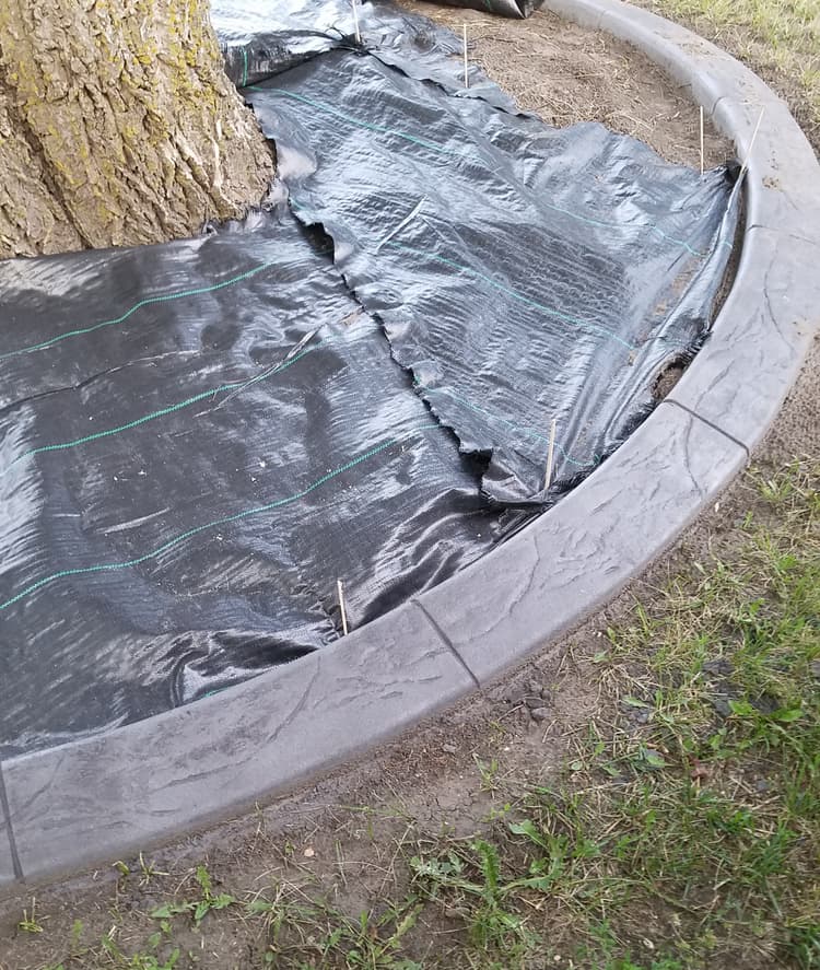 Long-Lasting, Low-Maintenance Curbing with Olson Construction in North Eastern North Dakota